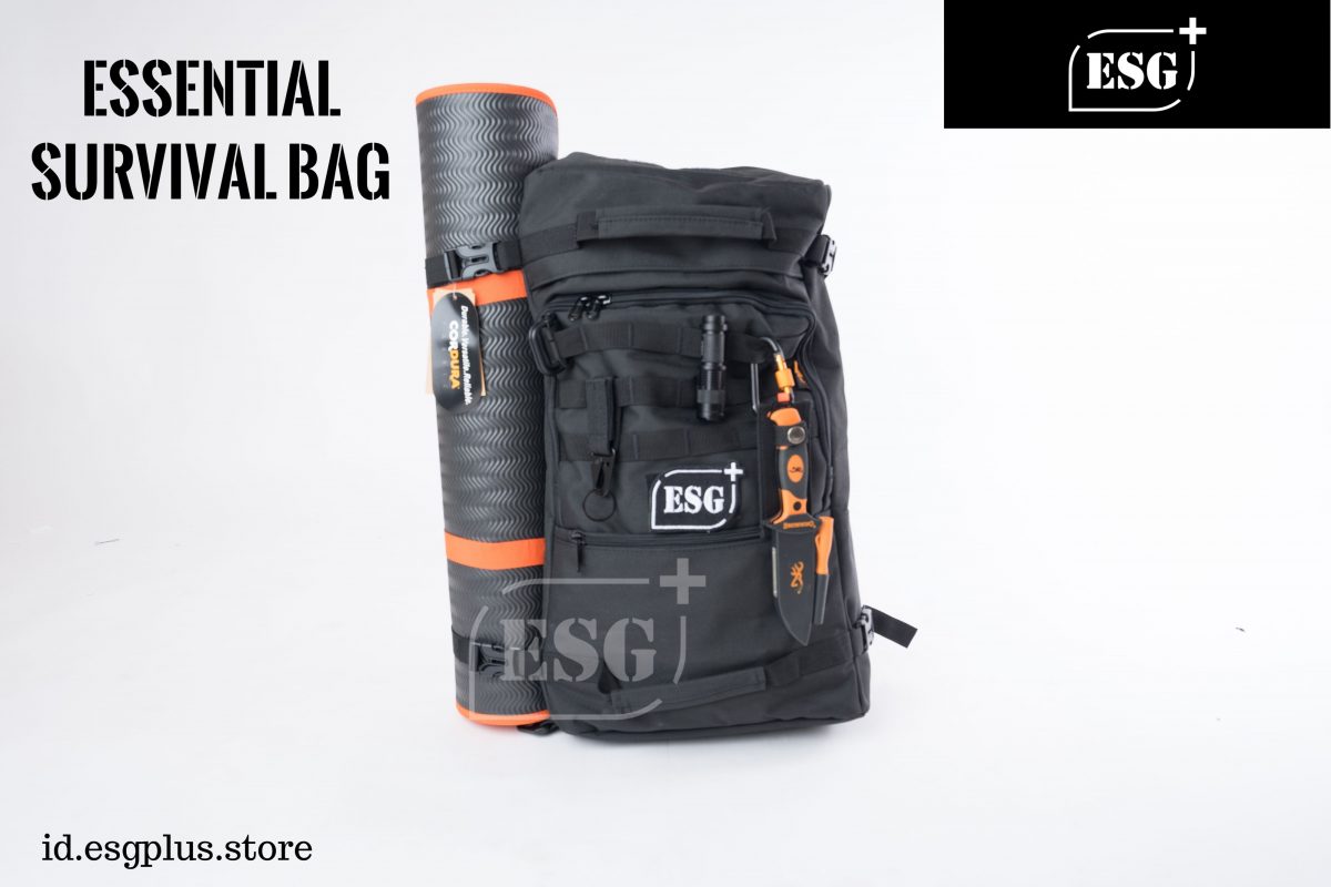 Essential Survival Bag