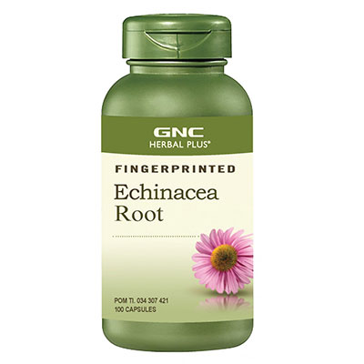 Echinacea Root 90 Kapsul
